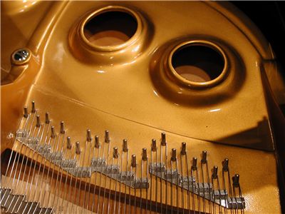 Piano Guts