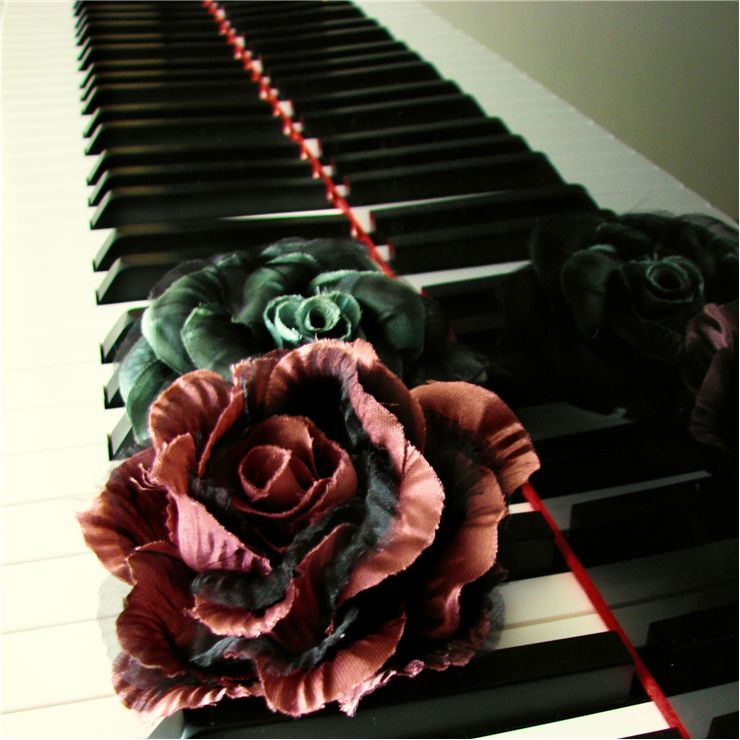 Roses on Grand Piano Keys